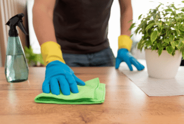 Home Cleaning Services Home Cleaning Services